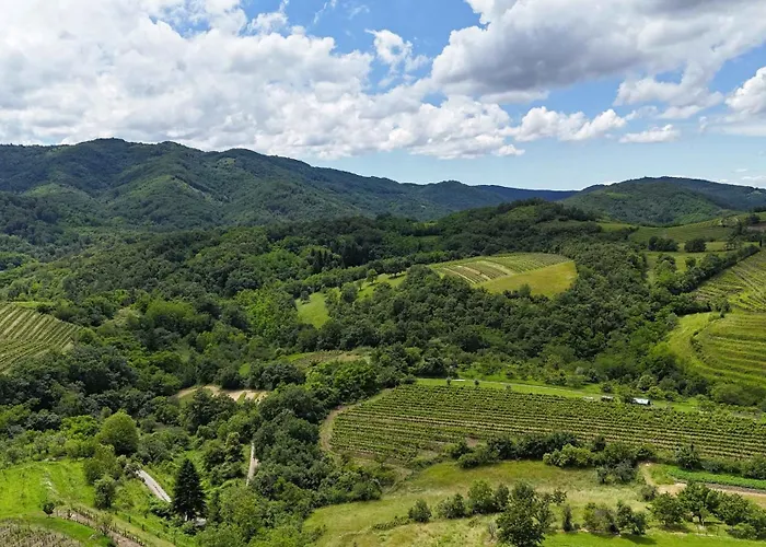 Tranquil Escape Feriehus *